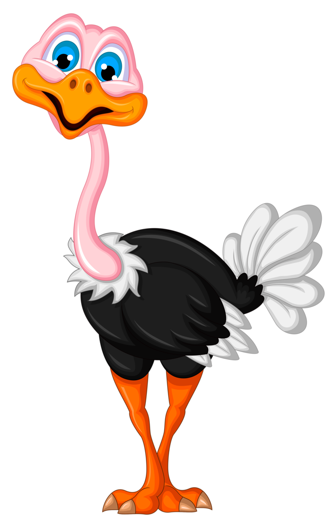 ostrich clipart transparent background