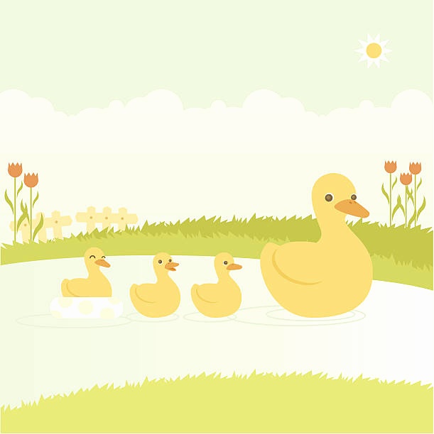 Duckling clipart family. Free duck download clip