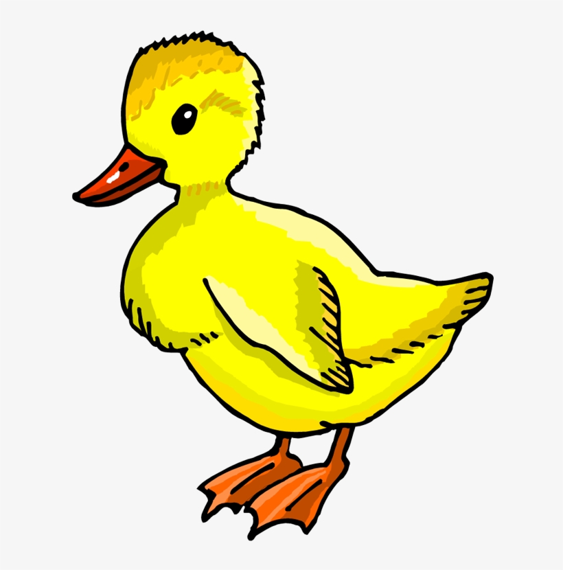 duckling clipart kid