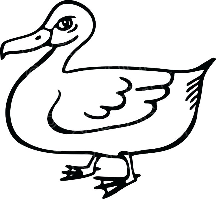 Sketch of a duck. Duckling clipart line