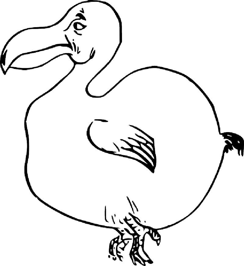 Ducks clipart coloring. Duck outline drawing at