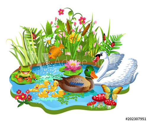 duckling clipart pond fish