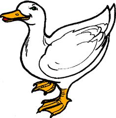 ducks clipart realistic