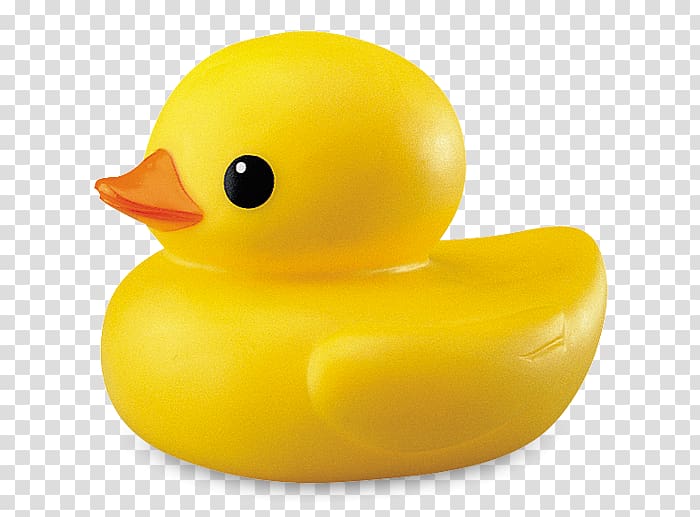 Duckling clipart toy. Rubber duck bathtub transparent