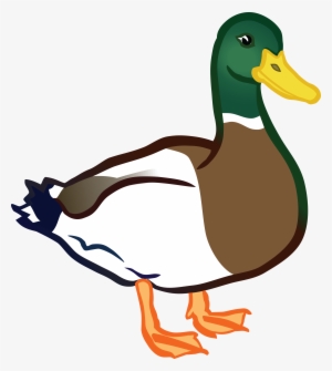 Duck png image free. Duckling clipart transparent background