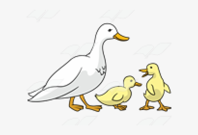 duckling clipart two duck