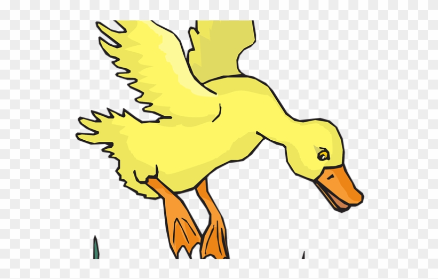 Duckling clipart wing. Goska png download 