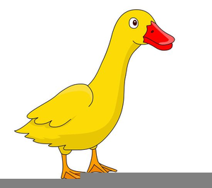 Duckling clipart yello. Yellow free images at