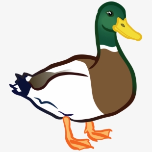 Ducks clipart duck bill. Free cliparts silhouettes cartoons