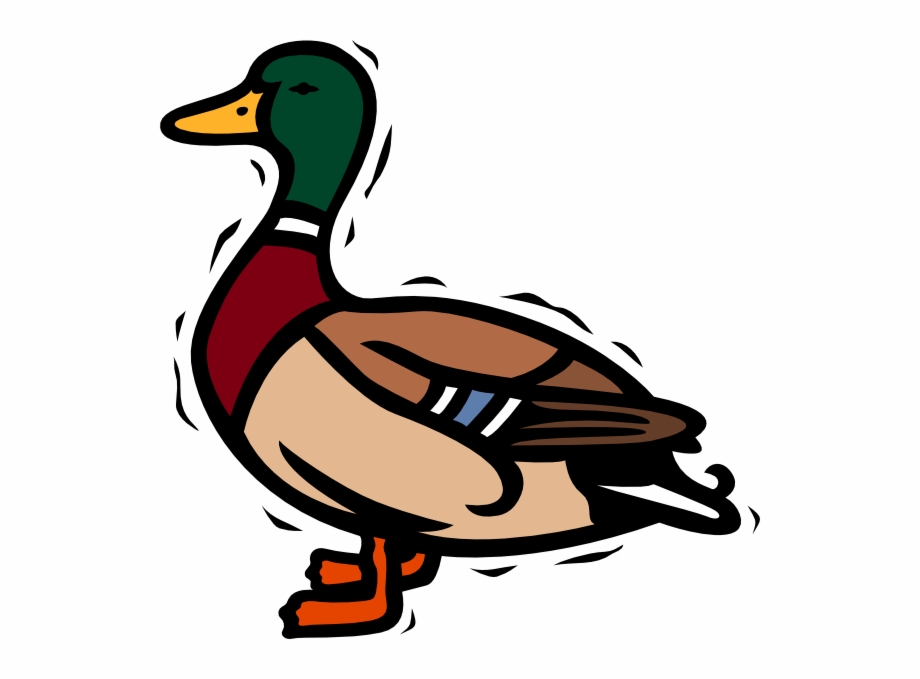 Ducks clipart duck bill. Hd images of collection