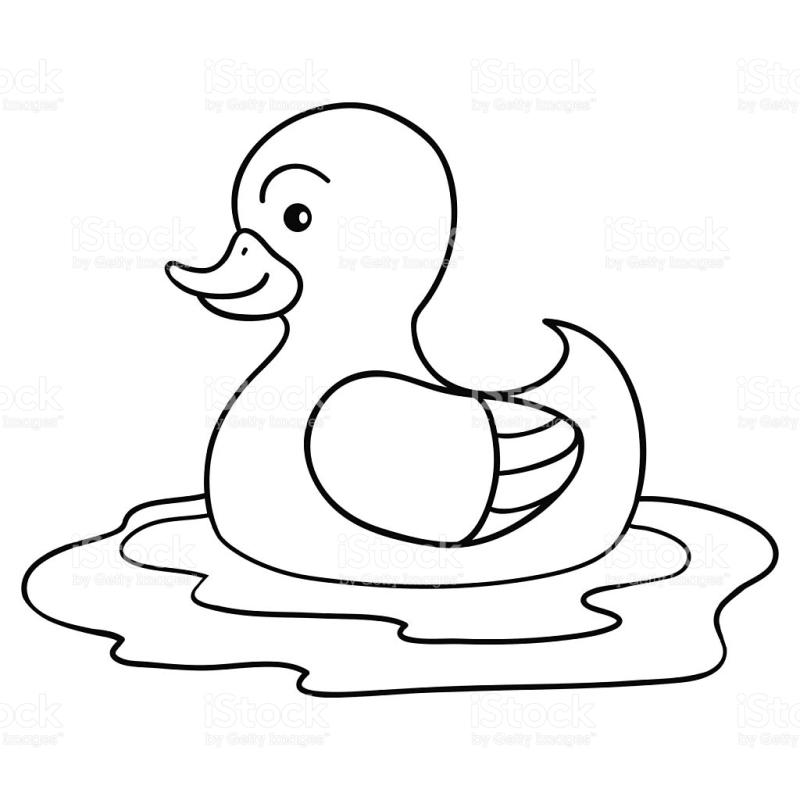 Duck free download best. Ducks clipart pond drawing