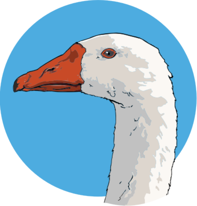 Goose clipart illustration. Png modern clip art