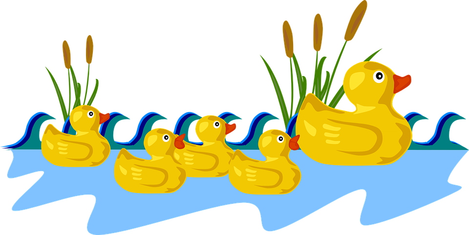 Ducks clipart row. Free png in a