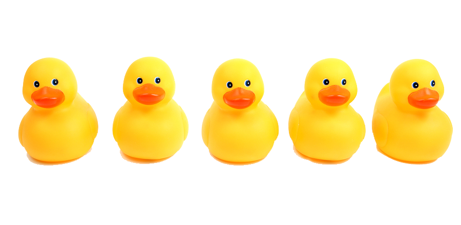 Ducks clipart row. Png in a transparent
