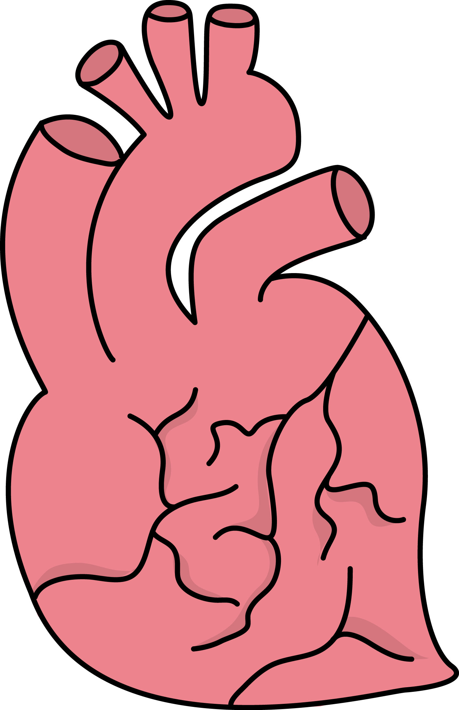 Fitness clipart healthy heart. Image for free health