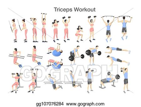 Dumbbell clipart arm workout. Eps illustration triceps set