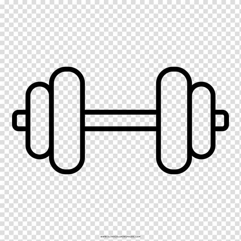 Weight training physical exercise. Dumbbell clipart personal fitness