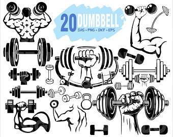 dumbbells clipart weight lifting