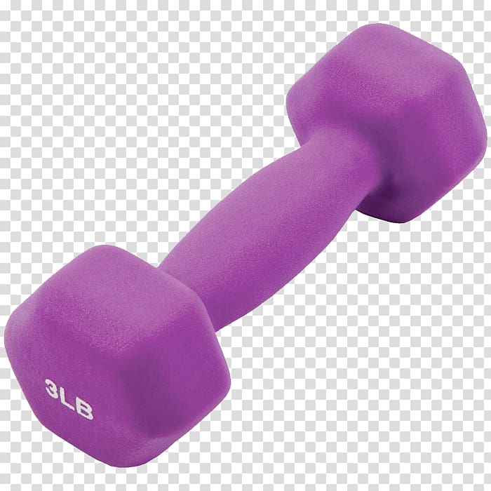 dumbbell clipart purple