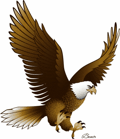 animals clipart eagle