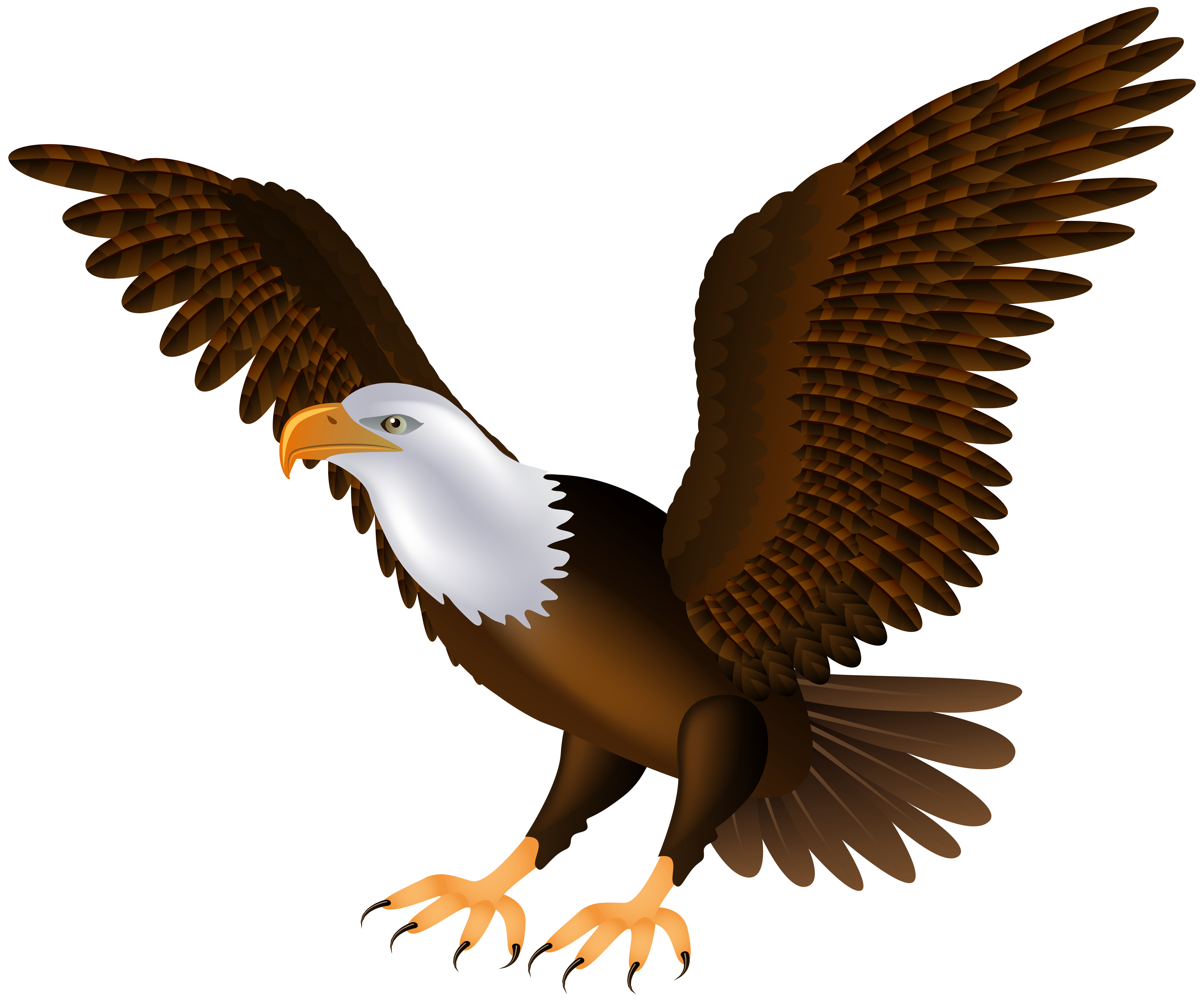 Wing clipart eagle. Png clip art best