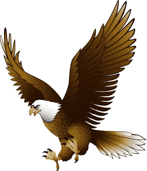 eagles clipart brown eagle