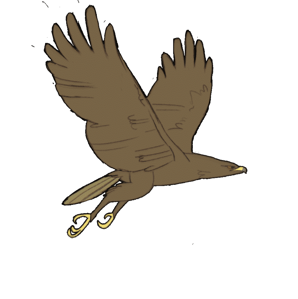 Flying cycle by alf. Eagle clipart animation