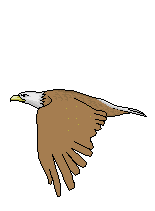 Eagle clipart animation.  eagles animated images