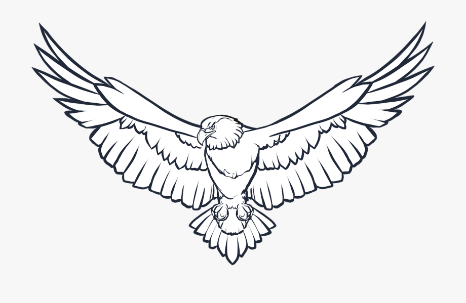 eagle clipart black and white