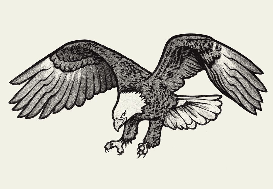 Bald eagle clip art. Eagles clipart body