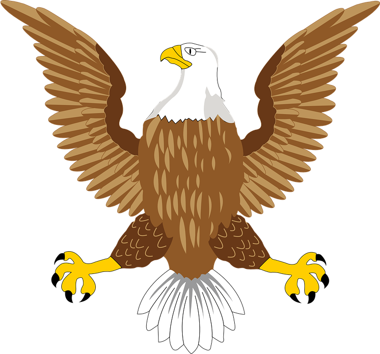 eagle clipart bold eagle