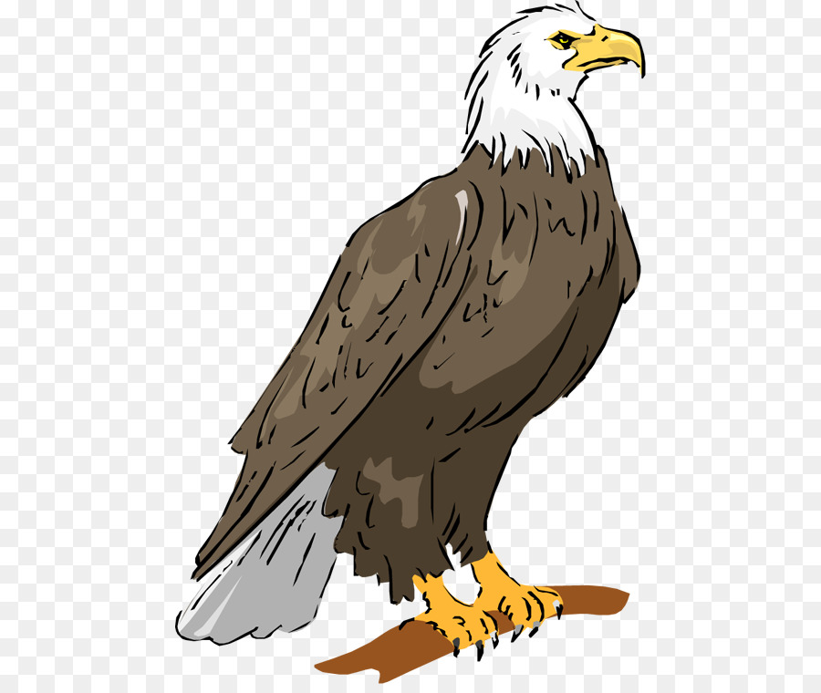 eagle clipart bold eagle