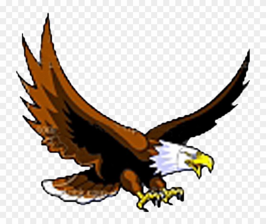 eagle clipart eagle flying