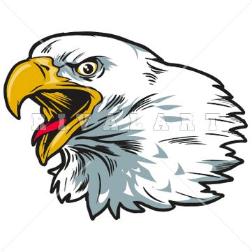Eagle clipart eagle mascot.  clipartlook