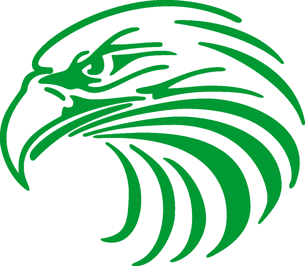 Eagles icon