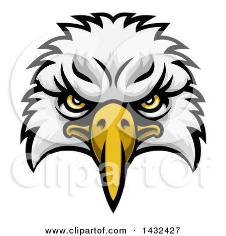 Eagle drawing free download. Eagles clipart face