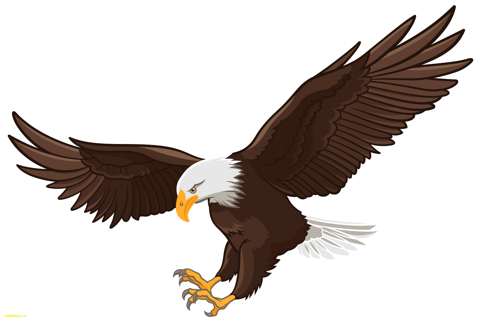 Eagle images bald celebswallpaper. Eagles clipart file