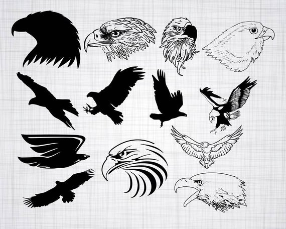 eagle clipart file