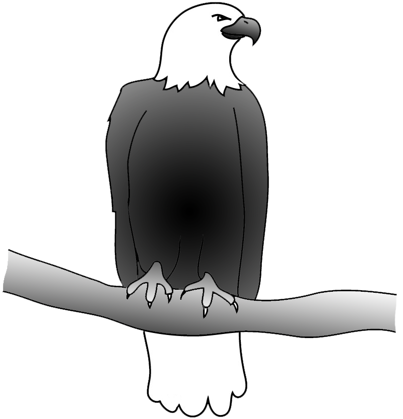Eagle clipart frame. Bald drawings outline of