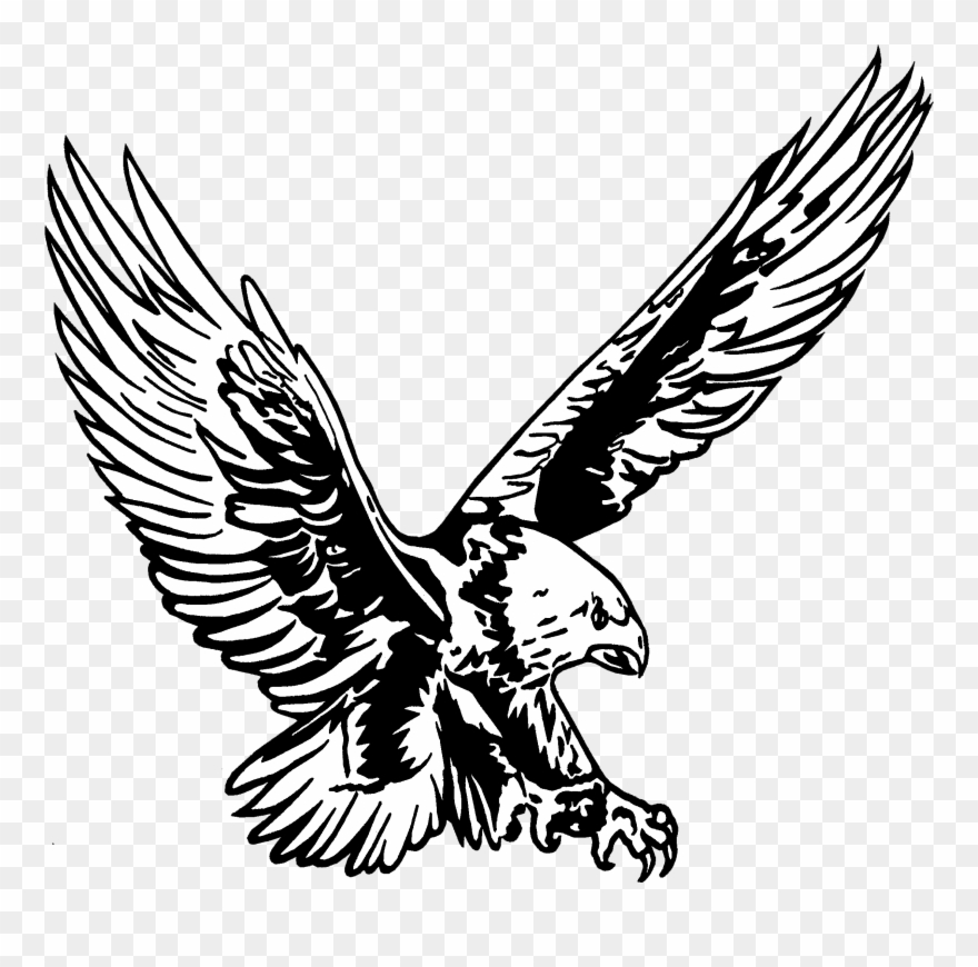 School eagles high . Eagle clipart logo