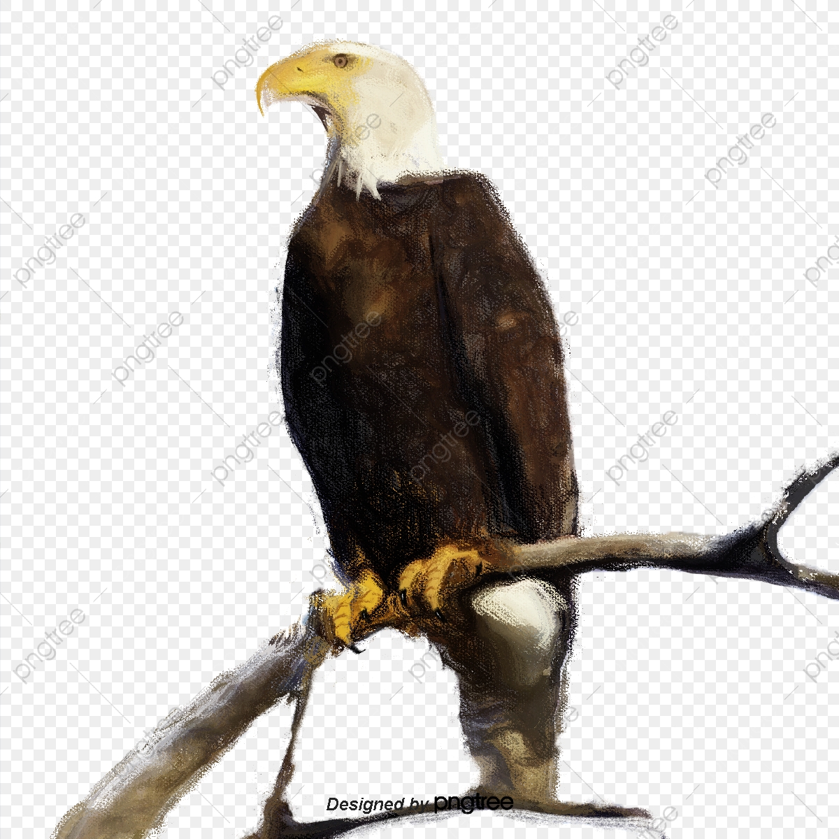 The elements of standing. Eagle clipart majestic