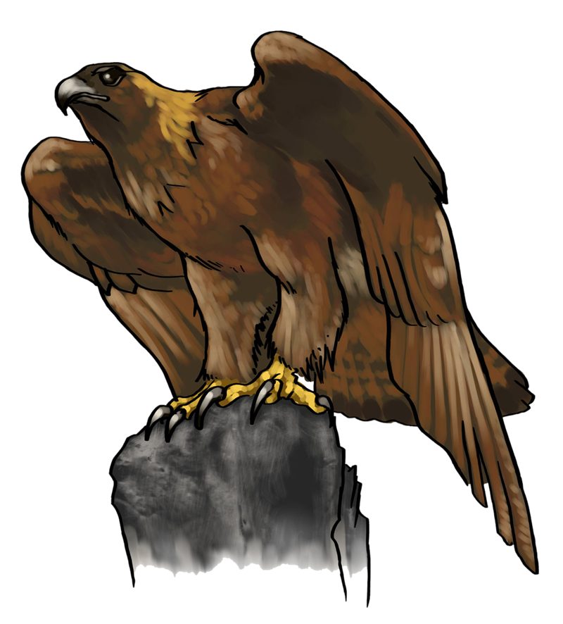 head clipart golden eagle