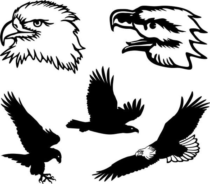 eagle clipart pdf
