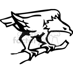 Black and white on. Eagle clipart perched