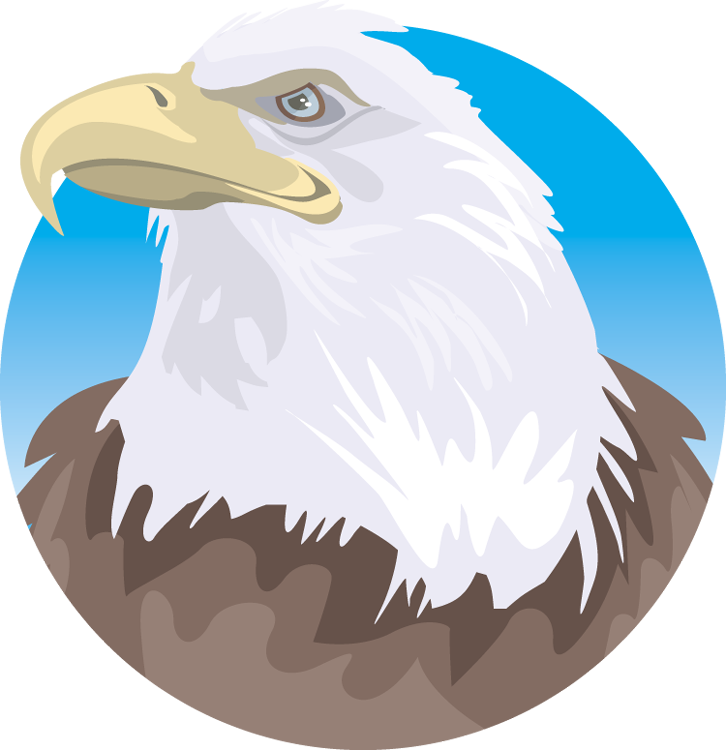 eagle clipart sea eagle