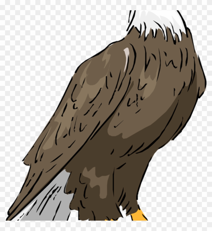 Stellers x free clip. Eagle clipart sea eagle