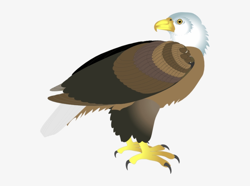 eagle clipart side view