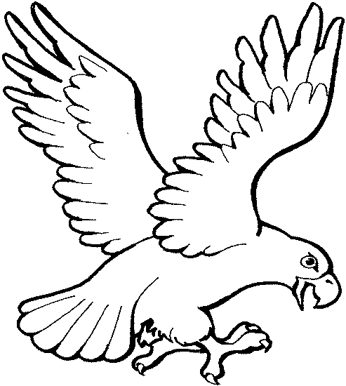 Free cliparts drawing download. Eagle clipart simple