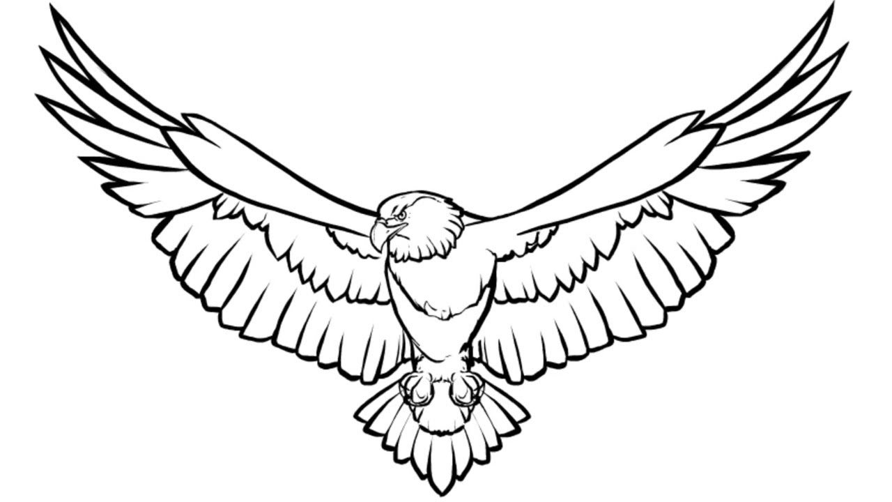 eagle clipart sketch