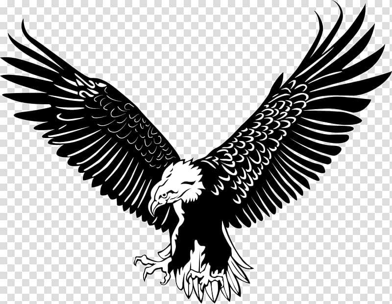 eagles clipart stencil